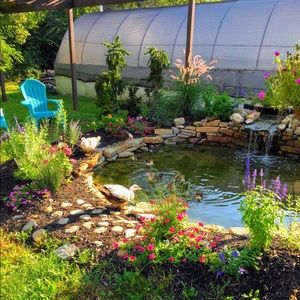 Meet your Posher, Denise